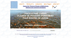 Desktop Screenshot of carpio-fr.com